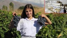 Erzincan tulum peyniri ve Cimin üzümü 'Slow Food Ark of Taste' listesine alındı