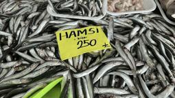 'Balıkta hızlı avcılık pek çok sıkıntıyı beraberinde getirdi'