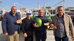 Antalya'da sezonun ilk erkenci karpuzu kilosu 40 liraya alıcı buldu