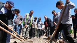 Taşınan her zeytin ağacı için yeni bir fidan: Milas'ta 4 bin fidan toprakla buluştu