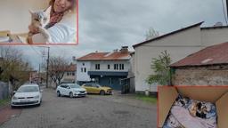 Kurdukları dernekle ev kiralayıp, sokak kedilerine yuva oldular