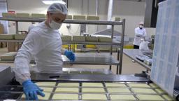 Erzincan'da günlük 45 ton kapasiteli süt fabrikası çiftçiye gelir sağlıyor