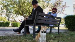 Papyonlu kedi 'Foça', emekli çiftin hayatını değiştirdi