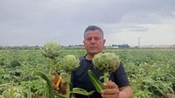 KKTC'de ilk kez yediği enginarı memleketinde üretti