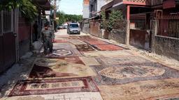 Adana'da 8 aydır asfaltlanmayan yola halı serip çözüm istediler