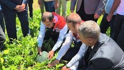 Iğdır’da 7 bin dekar alanda üretilen karpuzda 30 bin ton rekolte beklentisi