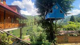 Rize'de iki kardeşin ağaç evine balkondan asma köprüyle ulaşı