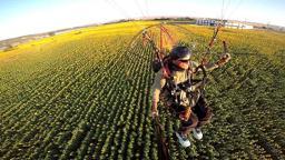 Edirne'nin 'sarı gelin'i ayçiçeği tarlaları üzerinde paramotorla uçtu