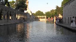 Şanlıurfa'da ‘sıra geceleri’, turizmin yeni gözdesi oldu