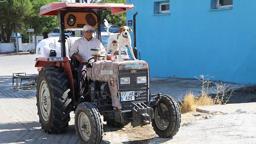 Köpek Benekli, kendisini sahiplenen çiftçinin 'yol arkadaşı' oldu
