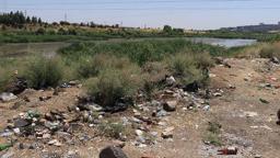 Dicle Vadisi’nde ‘piknikçi’ kirliliği: Atıklar insan ve yaban hayatını tehdit ediyor