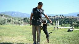 11 yılda yetiştirdiği 4 arama köpeğiyle, sayısız hayat kurtardı