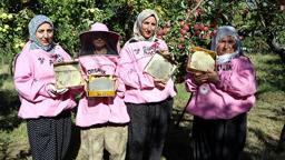 'Pembe maskeli’ kadın arıcılar hasada başladı