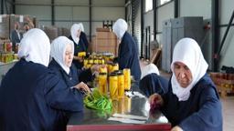 Tarlada kalan meyve ve sebzeler, kadınların elinde yeni nesil turşuya dönüşüyor