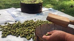 Mardin’in tescilli Derik zeytininde hasat başladı