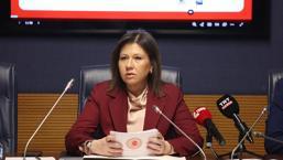 Yurtdışı Türkler ve Akraba Topluluklar Alt Komisyonu toplandı