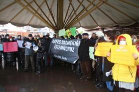 Rize'de 'denizde kafes balıkçılığı' tepkisi