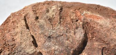 8000 years old fingerprints found in Ulucak Mound in Izmir