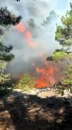 Antalya'da çıkan orman yangını, 2 saatte kontrol altına alındı
