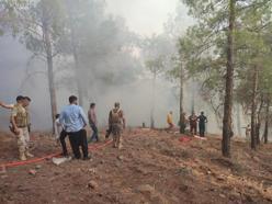 Hatay'da orman yangınında 5 hektarlık alan zarar gördü