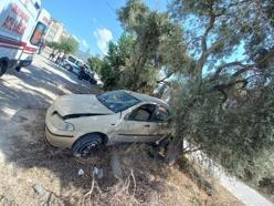 Otomobil zeytin ağacına çarptı, sürücü öldü