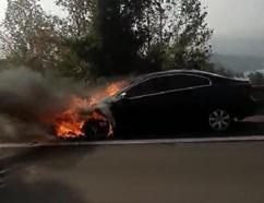 TEM'de alev alan otomobil yandı