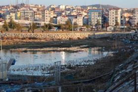 Beyşehir Gölü'nde kuraklığın ardından 'otlanma' tehlikesi