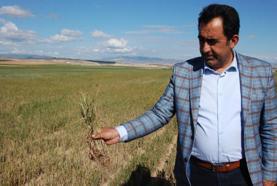 Bala'da yağışlar sebebiyle 300 bin dönüm arazi olumsuz etkilendi