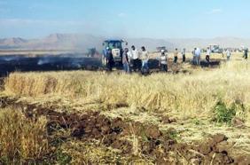 Mardin'de 200 dönüm ekili buğday yandı