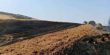 Çanakkale'de tarım arazisinde yangın; 1 hektar alan kül oldu