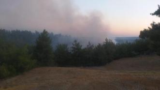 Adana'da anız ateşi ormanı yaktı