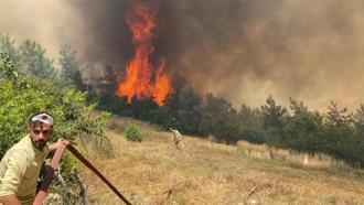 Osmaniye'de orman yangını / Ek fotoğraflar