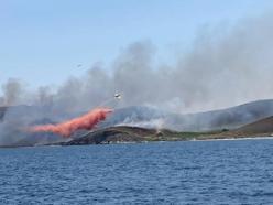 Avşa Adası'nda otluk arazide yangını