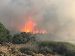 Gökçeada'daki orman yangını, 16,5 saat sonra kontrol altında