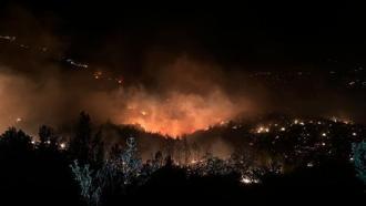 Mersin'de orman yangını (2)