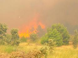 Manisa'daki orman yangınında şüpheli tarım işçisi tutuklandı