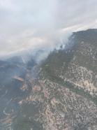 Bolu'da yıldırım düşen ormanda yangın
