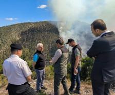 Bolu'daki orman yangınına havadan müdahale (2)