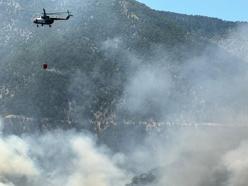 Bolu'daki orman yangınına havadan müdahale (3)