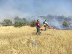 Mardin’deki orman yangınında 10 hektar alan zarar gördü