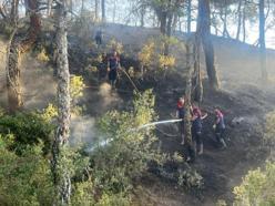 Dinar'da orman yangını büyümeden söndürüldü