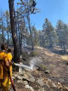 Kahramanmaraş'ta 1 hektar orman alan yandı