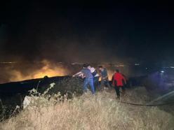 Marmara Adası'nda maki yangını