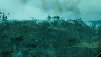 Çanakkale'de orman yakınında ot yangını