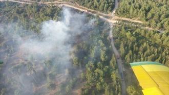 İzmir'deki orman yangını söndürüldü