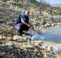 Mut'ta gölete 15 bin sazan balığı yavrusu bırakıldı