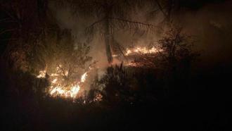 Çekmeköy’de orman yangını