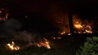 Çekmeköy'de orman yangını (GENİŞ HABER)