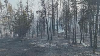 Bolu'daki orman yangını 22,5 saatte kontrol altında