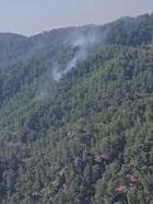 Muğla'da orman yangını (2)